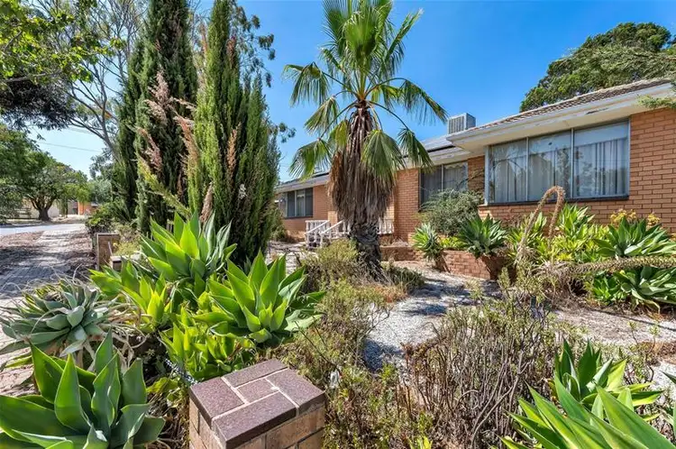 67 Dewer  Avenue, Ridgehaven SA 5097