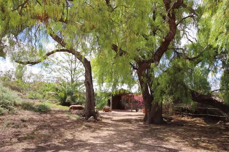 Second view of Homely rural property listing, 407 Purnong Road, Mannum SA 5238