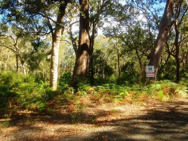 Main view of Homely land listing, Cnr Challis Street & Como Street, Pindimar NSW 2324