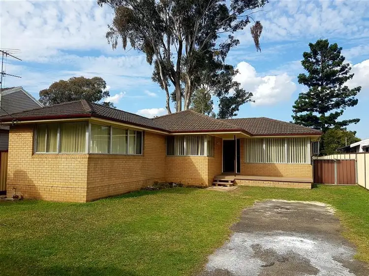87 Knox Road
