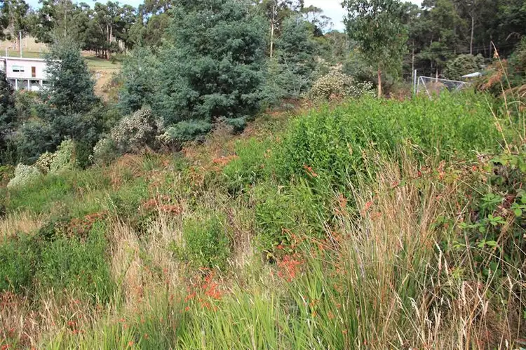 Fifth view of Homely land listing, Lot/1 Esperance Coast Road, Dover TAS 7117
