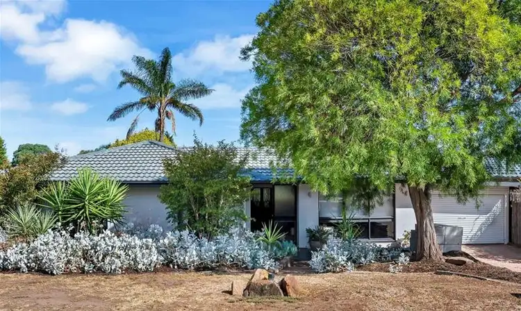Main view of Homely house listing, 16 Alicante Avenue, Wynn Vale SA 5127