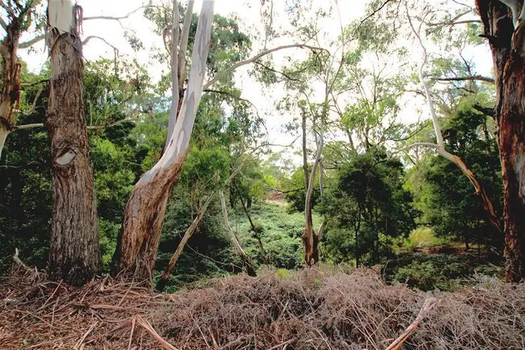 Second view of Homely land listing, 1035 Garvoc-Laang Road, Laang VIC 3265
