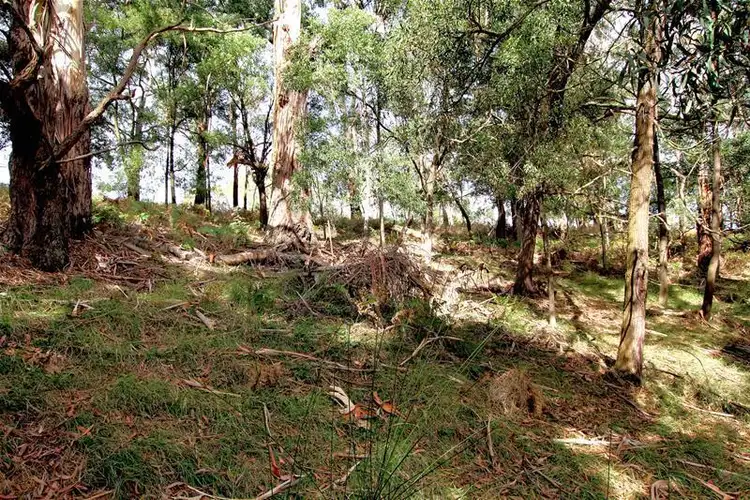 Fifth view of Homely land listing, 1035 Garvoc-Laang Road, Laang VIC 3265