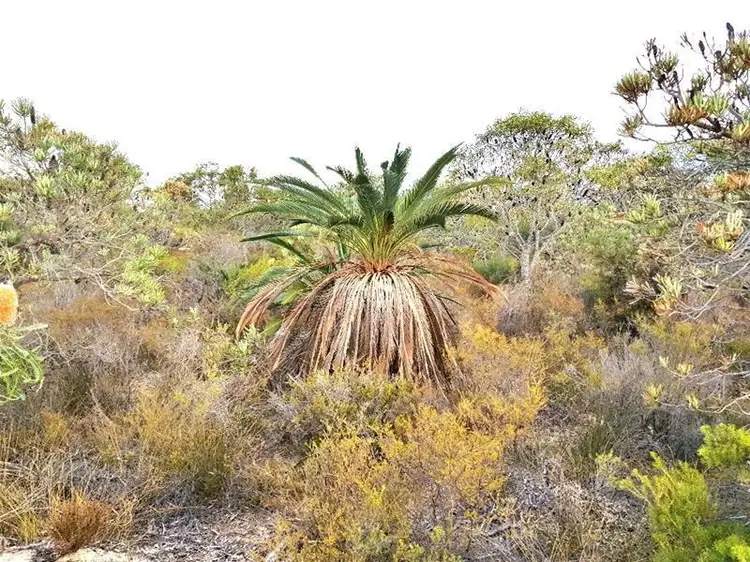 Third view of Homely land listing, LOT 18/18 Wren Way, Jurien Bay WA 6516
