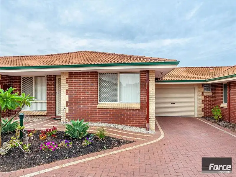 Main view of Homely villa listing, 29/229 Albert Street, Osborne Park WA 6017