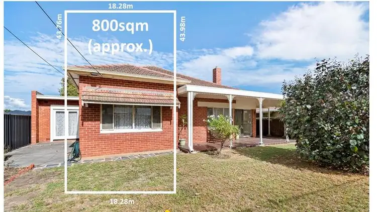 11 Anderson Avenue, Glenelg North SA 5045
