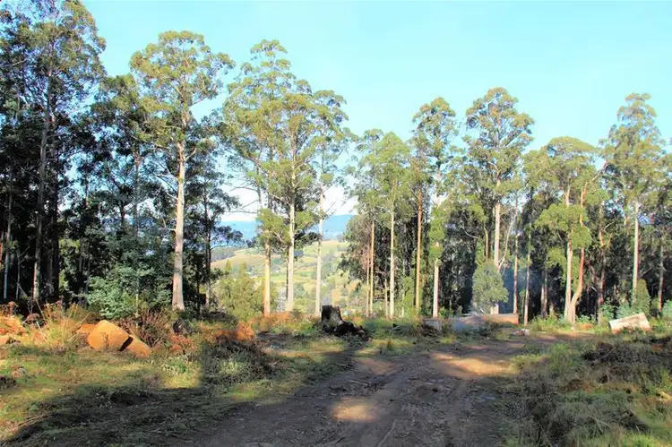 Fourth view of Homely land listing, Lot/4 Lloyds Road, Franklin TAS 7113