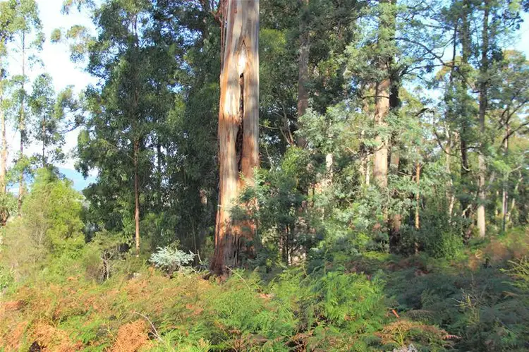 Fifth view of Homely land listing, Lot/4 Lloyds Road, Franklin TAS 7113