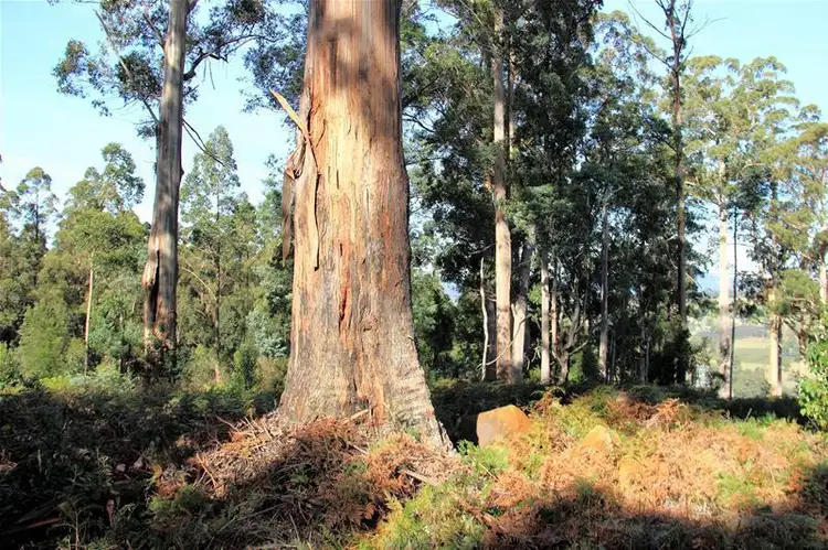 Seventh view of Homely land listing, Lot/4 Lloyds Road, Franklin TAS 7113