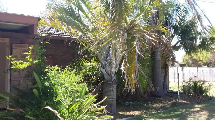 12 Cook Street, Jurien Bay WA 6516