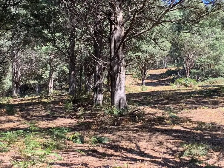 Second view of Homely land listing, Lots 1 & 2 Off Bakers Creek Road, Lucaston TAS 7109