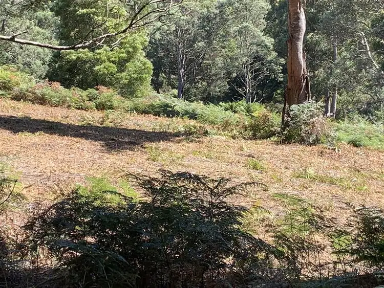 Fourth view of Homely land listing, Lots 1 & 2 Off Bakers Creek Road, Lucaston TAS 7109