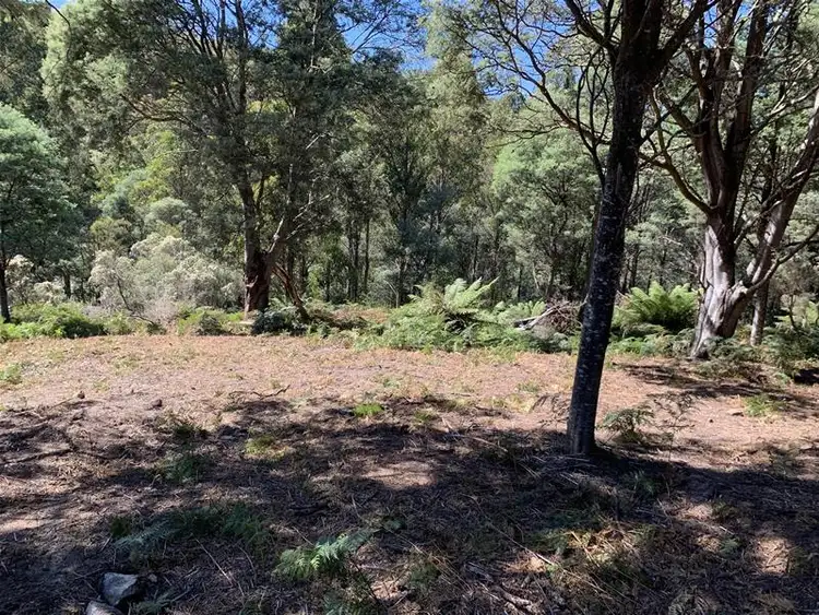 Fifth view of Homely land listing, Lots 1 & 2 Off Bakers Creek Road, Lucaston TAS 7109