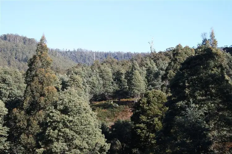 Third view of Homely land listing, 244027/1 Off Bakers Creek Road, Lucaston TAS 7109
