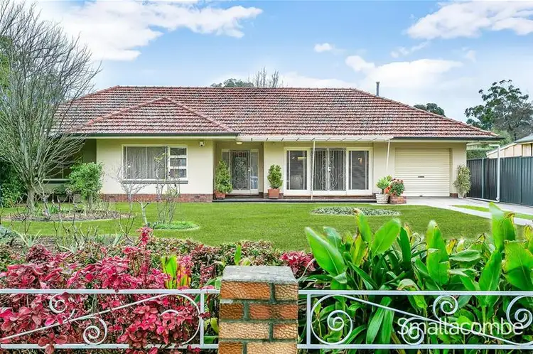 11 Angas Road, Hawthorn SA 5062