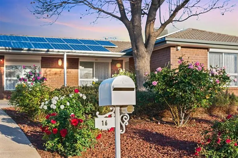 Main view of Homely house listing, 16 Jacaranda Drive, Craigmore SA 5114