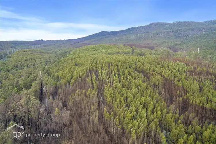 Seventh view of Homely land listing, 1 Oigles Road, Geeveston TAS 7116