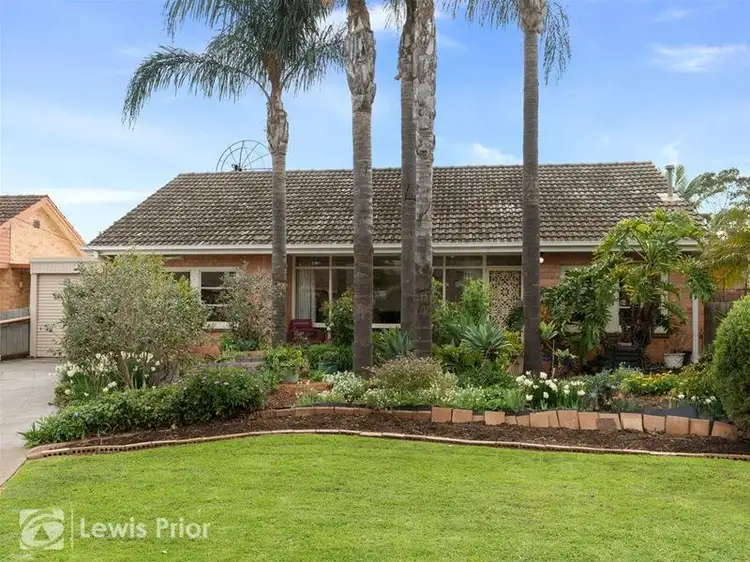 9 Lynne Court, Marion SA 5043