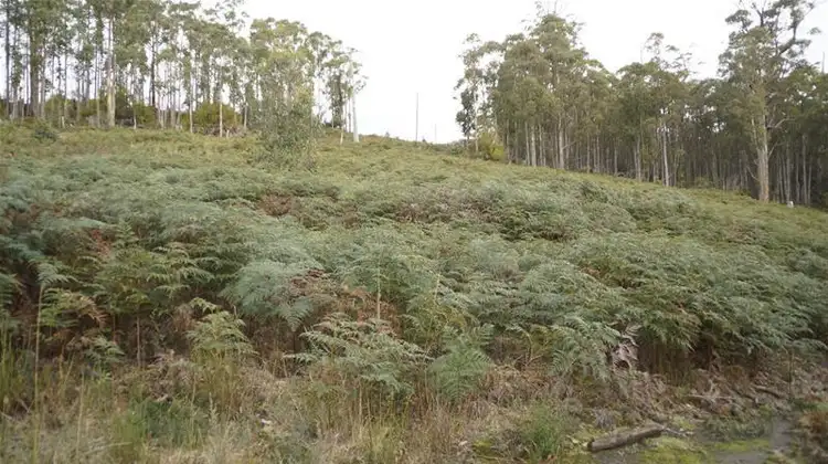 Third view of Homely land listing, 2 1205 Pelverata Road, Pelverata TAS 7150