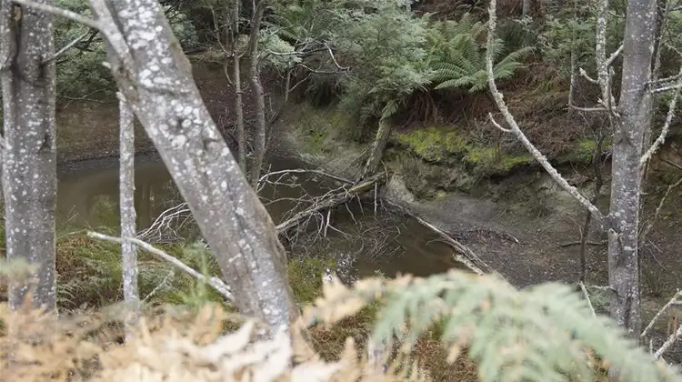 Fourth view of Homely land listing, 2 1205 Pelverata Road, Pelverata TAS 7150