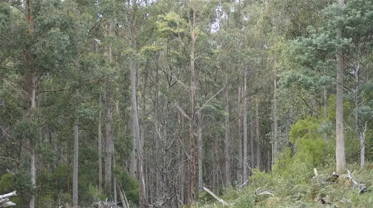 Sixth view of Homely land listing, 2 1205 Pelverata Road, Pelverata TAS 7150