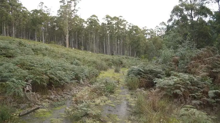 Seventh view of Homely land listing, 2 1205 Pelverata Road, Pelverata TAS 7150