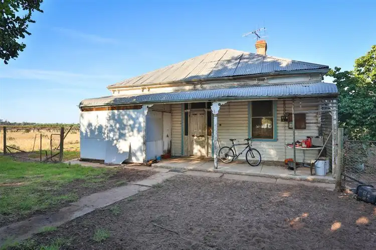Main view of Homely house listing, 99 Cowanna Avenue, Merbein VIC 3505