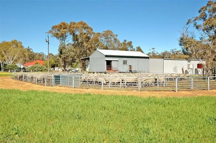 Second view of Homely rural property listing, 4876 Bindi Bindi -Toodyay Road, Wyening WA 6568