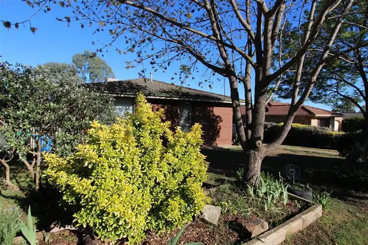 19 Simpson Avenue, Wagga Wagga NSW 2650
