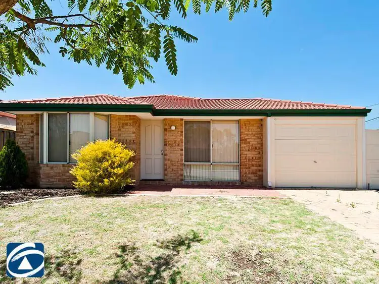 Main view of Homely house listing, 31 Tokara Avenue, Henley Brook WA 6055