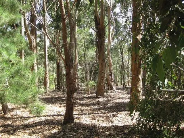 Fifth view of Homely house listing, 102 Jacobs Road, Mount Compass SA 5210