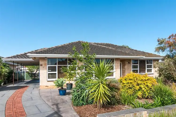 36 Pine Avenue, Warradale SA 5046