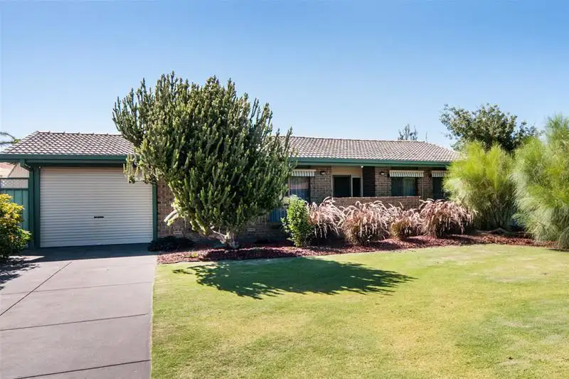 Main view of Homely house listing, 64 Klingberg Drive, North Haven SA 5018