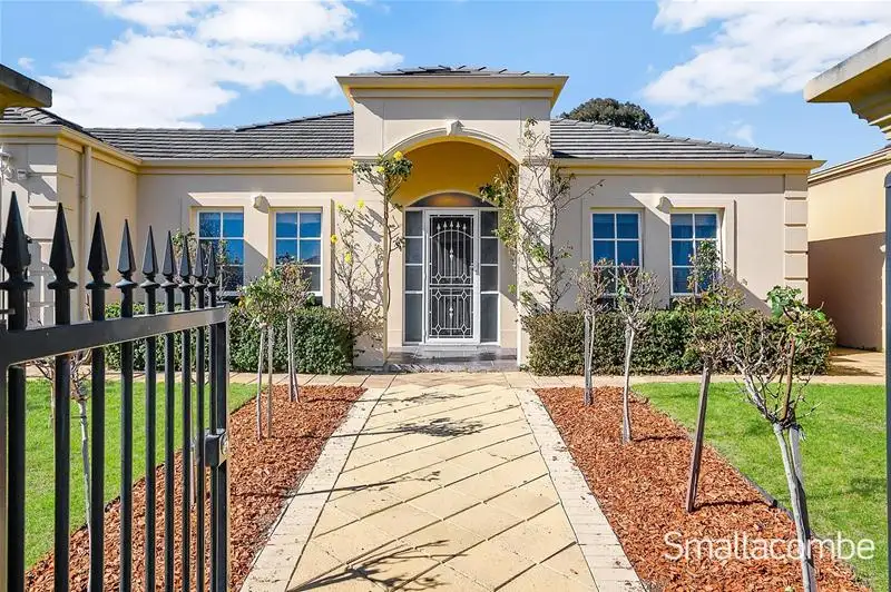 Main view of Homely house listing, 19 Birdwood Street, Netherby SA 5062