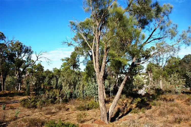 13 Aulini Drive, Bedfordale WA 6112