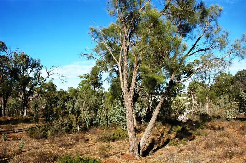 Main view of Homely land listing, 13 Aulini Drive, Bedfordale WA 6112