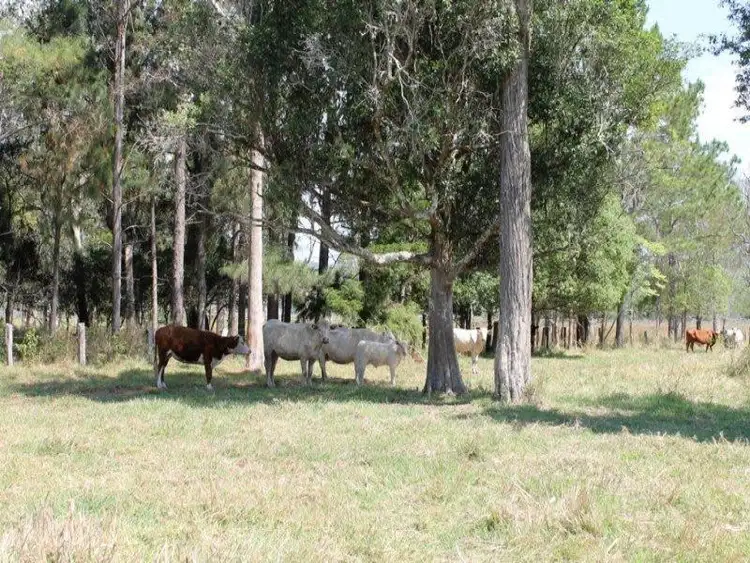 Third view of Homely land listing, 384 Bangalow Road, Lagoon Grass NSW 2480