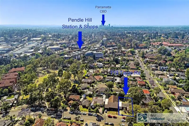 Main view of Homely house listing, 113 Targo Road, Pendle Hill NSW 2145