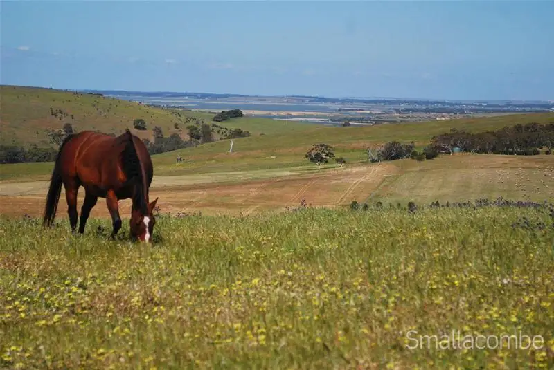 Main view of Homely land listing, Lot 178 Deep Creek Road, Currency Creek SA 5214