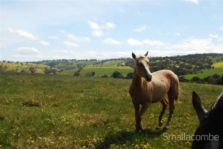 Fourth view of Homely land listing, Lot 178 Deep Creek Road, Currency Creek SA 5214