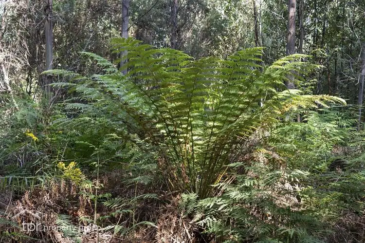 Third view of Homely land listing, 203150/1 Huon Highway, Dover TAS 7117