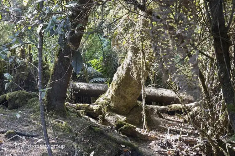 Fourth view of Homely land listing, 203150/1 Huon Highway, Dover TAS 7117