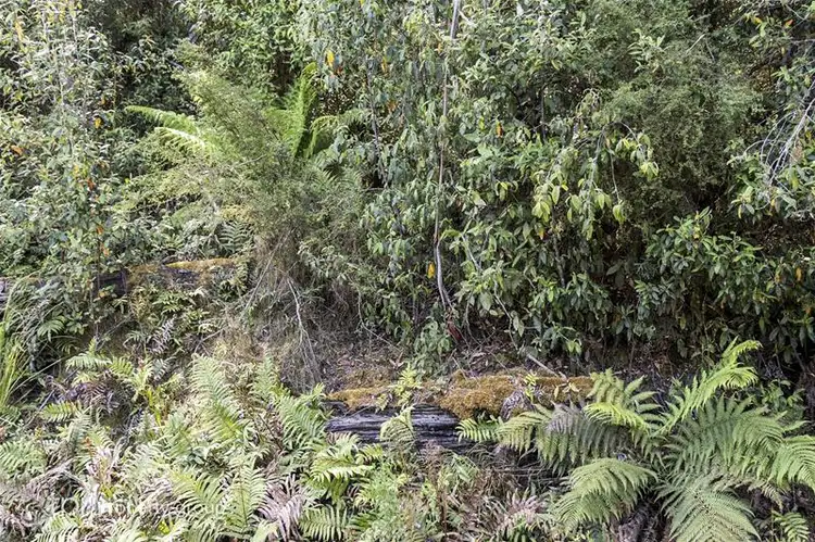 Fifth view of Homely land listing, 203150/1 Huon Highway, Dover TAS 7117