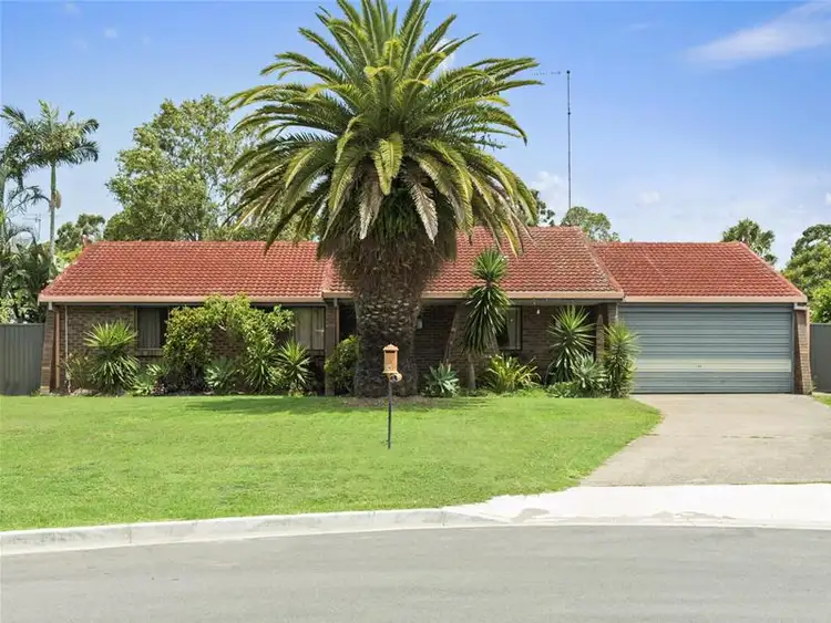 Main view of Homely house listing, 14 Cassia Court, Palm Beach QLD 4221