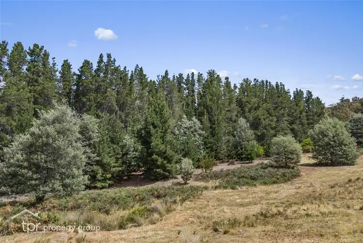 Sixth view of Homely land listing, Lot/2 Fyfes Road, Mountain River TAS 7109