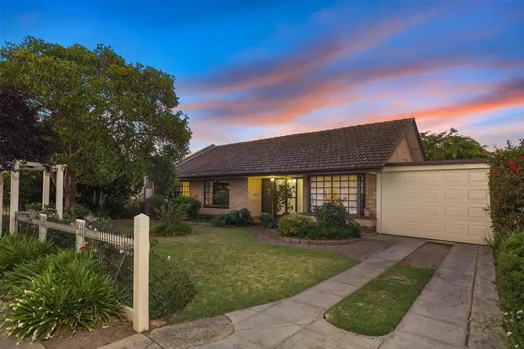 93 Harding Street, Somerton Park SA 5044