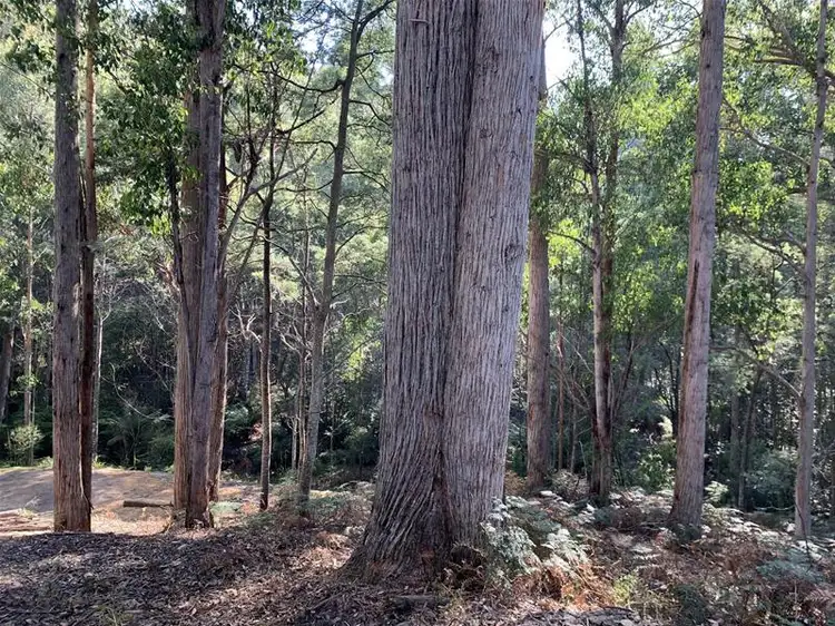 Seventh view of Homely land listing, Jacksons Road, Franklin TAS 7113