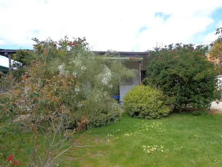 Seventh view of Homely house listing, 137 Wallaby Street, Loch Sport VIC 3851