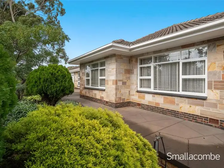 Second view of Homely house listing, 6 Oliphant Avenue, Oaklands Park SA 5046